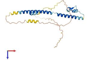 SFR1 Protein (AA 1-245) (His tag)