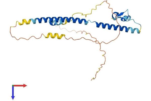 SFR1 Protein (AA 1-245) (His tag)