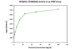 Bioactivity measured with Activity Assay (MSK1 Protein (Transcript Variant 2) (Myc-DYKDDDDK Tag))