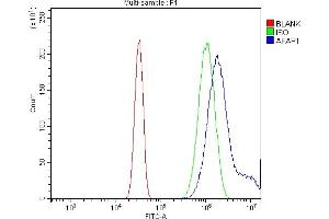 Flow Cytometry analysis of U20S cells using anti-AFAP/AFAP1 antibody (ABIN7601861). (AFAP Antikörper  (AA 498-730))