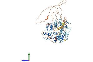 AlphaFold protein structure predicition of Human Recombinant ZNF519 Protein, UniprotID Q8TB69