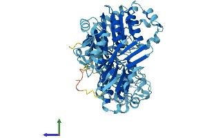 Protein Structure (PS) image for ATP-Binding Cassette, Sub-Family E (OABP), Member 1 (ABCE1) (AA 1-599) protein (His tag) (ABIN7556577)
