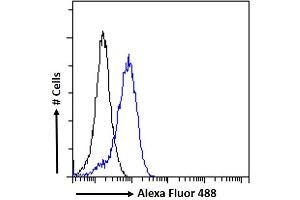 (ABIN302176) Flow cytometric analysis of paraformaldehyde fixed A431 cells (blue line), permeabilized with 0. (APOLD1 Antikörper  (C-Term))