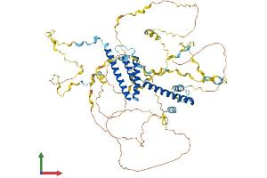 Protein Structure (PS) image for WW Domain Binding Protein 11 (WBP11) (AA 1-641) protein (His tag) (ABIN7545184)