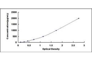 Typical standard curve (IL1R1 ELISA Kit)