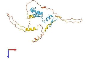 OSR1 Protein (AA 1-266) (His tag)