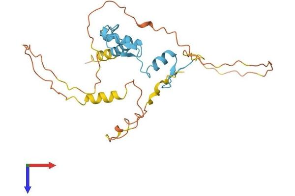 OSR1 Protein (AA 1-266) (His tag)