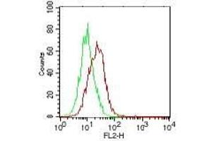 Image no. 2 for anti-Interleukin 25 (IL25) antibody (Biotin) (ABIN1102480) (IL-25 Antikörper  (Biotin))