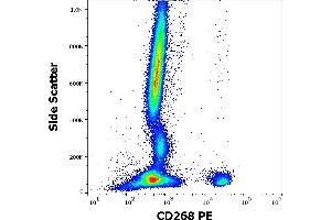 Flow cytometry surface staining pattern of human peripheral whole blood stained using anti-human CD268 (11C1) PE antibody (10 μL reagent / 100 μL of peripheral whole blood). (TNFRSF13C Antikörper  (PE))