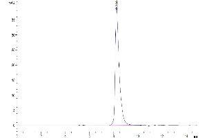 Size-exclusion chromatography-High Pressure Liquid Chromatography (SEC-HPLC) image for Semaphorin 7A, GPI Membrane Anchor (John Milton Hagen Blood Group) (SEMA7A) (AA 45-646) protein (His tag) (ABIN7275570)