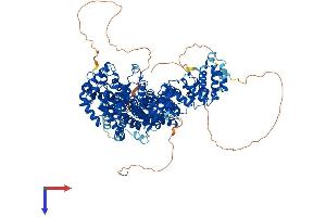 INTS3 Protein (AA 1-1041) (His tag)