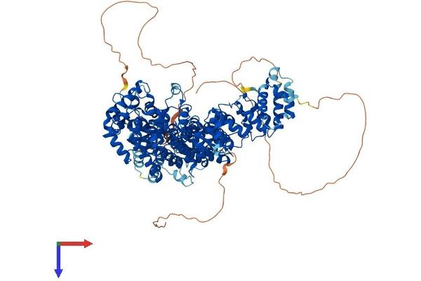 INTS3 Protein (AA 1-1041) (His tag)
