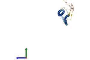 Protein Structure (PS) image for Keratin 19 (KRT19) (AA 1-403) protein (His tag) (ABIN7562934)