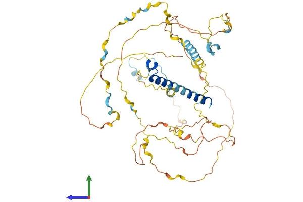PRCC Protein (AA 1-491) (His tag)