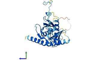 Protein Structure (PS) image for Exosome Component 6 (EXOSC6) (AA 1-273) protein (His tag) (ABIN7564424)