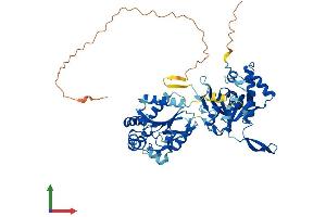 AlphaFold protein structure predicition of Human Recombinant UCKL1 Protein, UniprotID Q9NWZ5