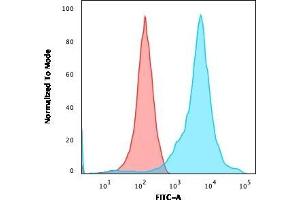 Flow Cytometric Analysis of HEK293 cells using Neurofilament Monoclonal Antibody (RT-97 + NR-4) followed by goat anti-Mouse IgG-CF488 (Blue); Isotype control (Red). (NEFH & NEFL Antikörper)