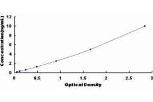 DDX5 ELISA Kit