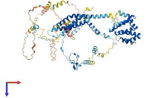 UVSSA/KIAA1530 Protein (AA 1-709) (His tag)