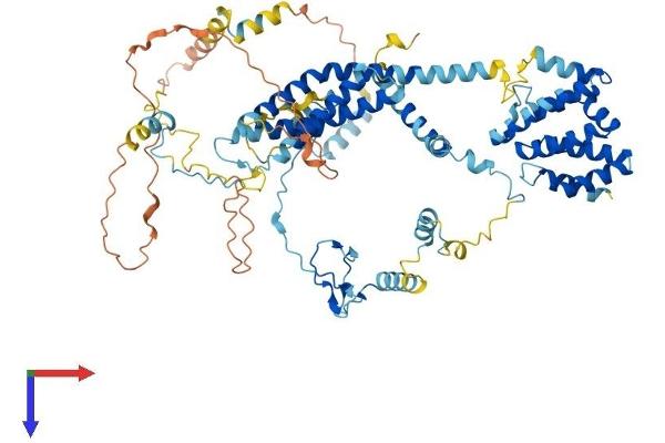 UVSSA/KIAA1530 Protein (AA 1-709) (His tag)
