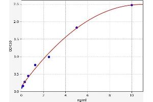 CDK1 ELISA Kit