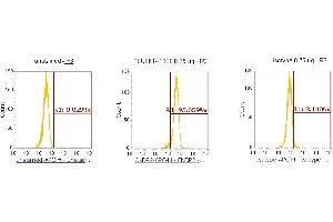 Flow Cytometry (FACS) image for anti-CNDP Dipeptidase 2 (Metallopeptidase M20 Family) (CNDP2) (AA 1-475) antibody (APC) (ABIN5565179) (CNDP2 Antikörper  (AA 1-475) (APC))