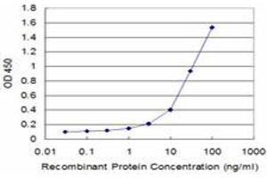 Detection limit for recombinant GST tagged CFHR1 is approximately 1ng/ml as a capture antibody. (CFHR1 Antikörper  (AA 19-330))