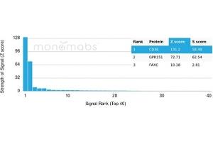 Protein Array (PAr) image for anti-CD3 epsilon (CD3E) (AA 23-119) antibody (ABIN6941027)