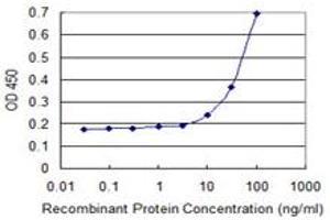 ELISA image for anti-UDP-GlcNAc:betaGal beta-1,3-N-Acetylglucosaminyltransferase 1 (B3GNT1) (AA 316-415) antibody (ABIN524434)