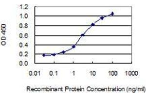 ELISA image for anti-Nuclear Factor of kappa Light Polypeptide Gene Enhancer in B-Cells Inhibitor, epsilon (NFKBIE) (AA 403-498) antibody (ABIN2565719)