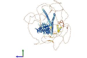 Protein Structure (PS) image for Tumor Protein P53 Binding Protein 2 (TP53BP2) (AA 1-1128) protein (His tag) (ABIN7564568)