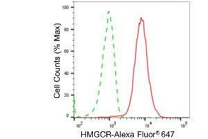 Flow cytometric analysis of HMGCR expression in HepG2 cells using HMGCR antibody (ABIN7797418), 1:2,000). (Rekombinanter HMGCR Antikörper)