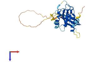 RAB26 Protein (AA 1-256) (His tag)