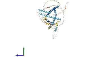 AlphaFold protein structure predicition of Mouse Recombinant Tsks Protein, UniprotID O54887