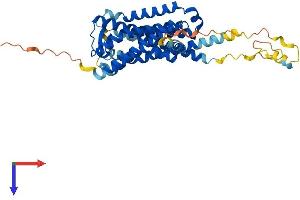 GPR173 Protein (AA 1-373) (His tag)