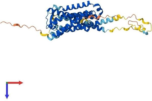 GPR173 Protein (AA 1-373) (His tag)