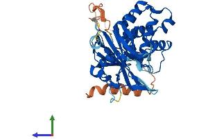 Protein Structure (PS) image for Ubiquitin Specific Peptidase 18 (USP18) (AA 1-372) protein (His tag) (ABIN7544988)