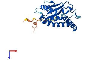 BET3L/TRAPPC3L Protein (AA 1-181) (His tag)