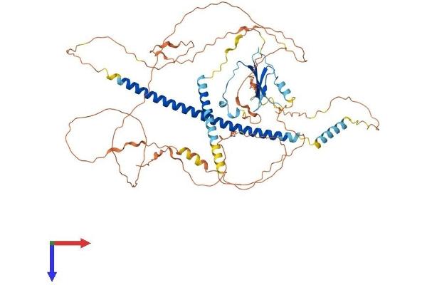 ATF6 Protein (AA 1-656) (His tag)