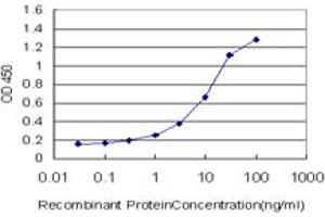 Detection limit for recombinant GST tagged NSDHL is approximately 0.