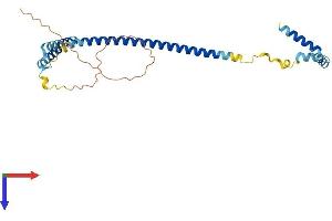 CENPQ Protein (AA 1-268) (His tag)