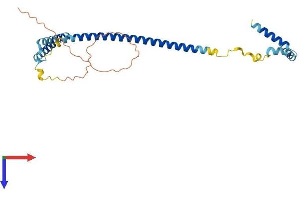CENPQ Protein (AA 1-268) (His tag)