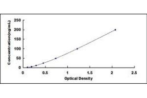 Typical standard curve (IDH1 ELISA Kit)
