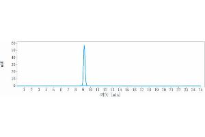 anti-LAG3 (Ieramilimab Biosimilar) antibody