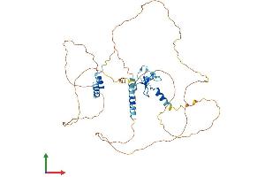 Protein Structure (PS) image for Integrator Complex Subunit 12 (INTS12) (AA 1-462) protein (His tag) (ABIN7548564)