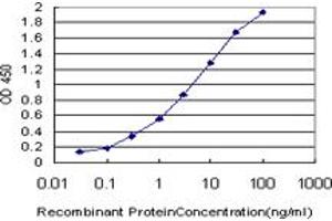 Detection limit for recombinant GST tagged PRKCI is approximately 0. (PKC iota Antikörper  (AA 1-100))