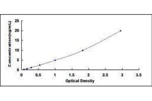 ELISA image for Myelin Associated Glycoprotein (MAG) ELISA Kit (ABIN414981)