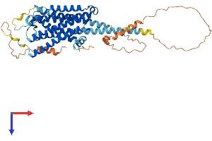 ADRA2C Protein (AA 1-458) (His tag)