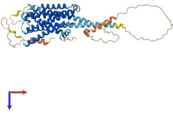 ADRA2C Protein (AA 1-458) (His tag)