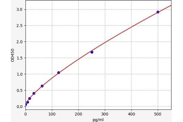 BID ELISA Kit